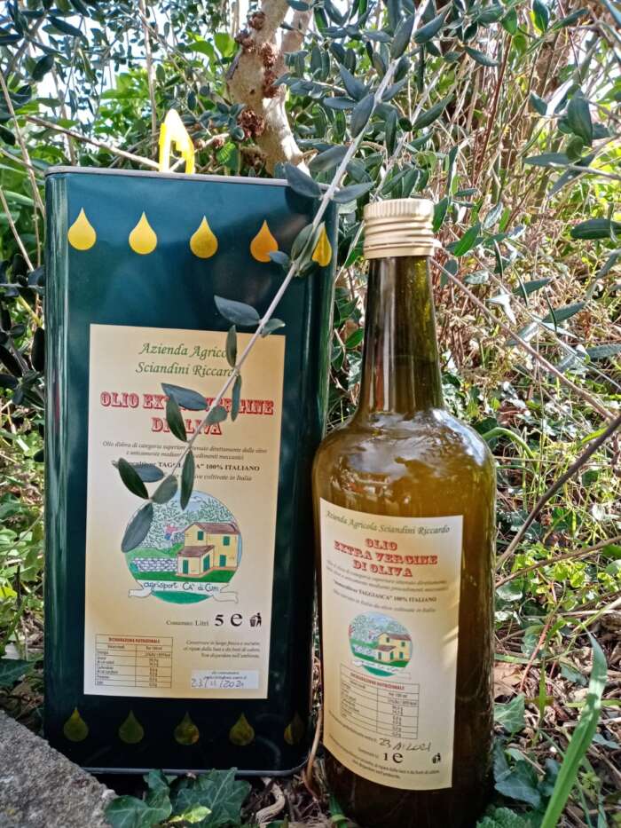 olio extra